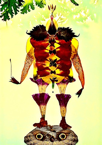 4/THE EMPORER