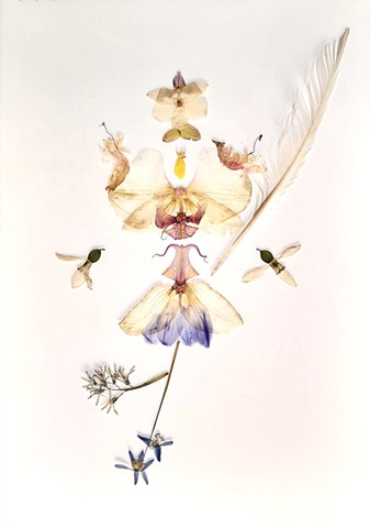 DAUGHER OF AIR