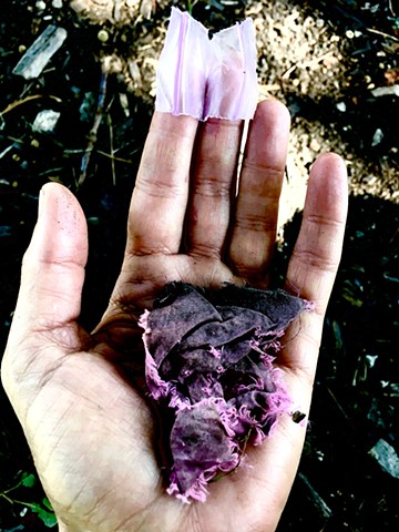 Pink, various