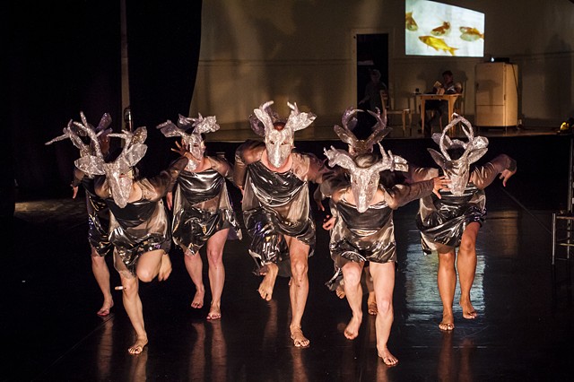 Deer Stampede and Fishes
