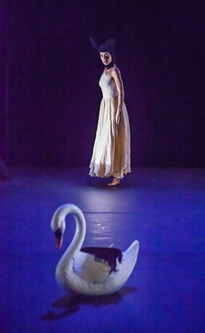 Bunny and Swan