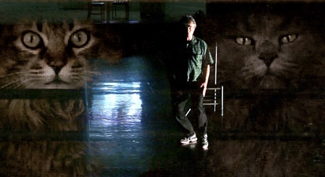 Man and Cats Performing Gaze of a Hawk