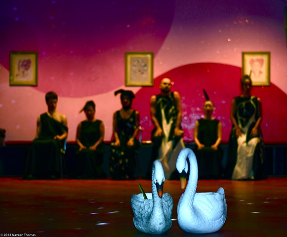 The Humans and swans