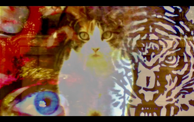 Video, Made for Music