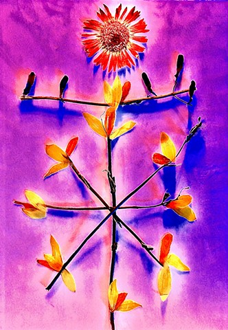 5 OF FIRE