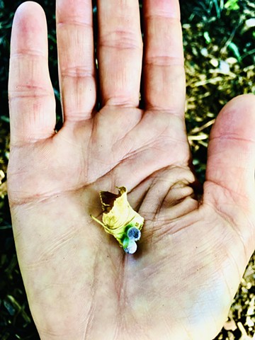 tiny purple