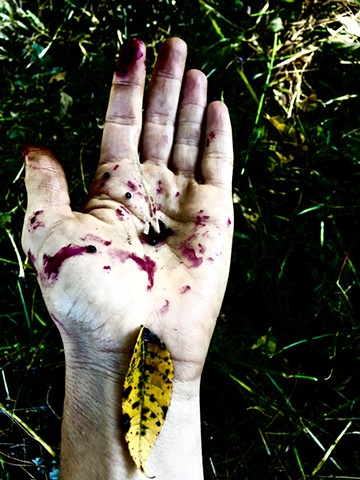 mottled yellow and berry