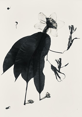 9 THE HERMIT
