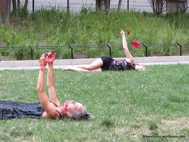 Cardinal Appeared at End