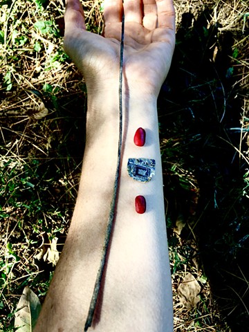 chip, red magnolia seeds and stick