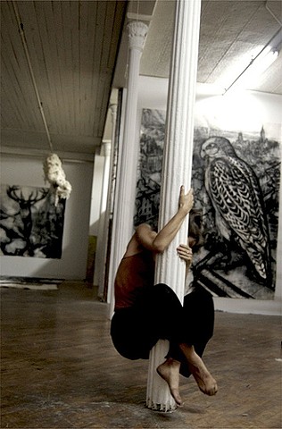 Rehearsal, Owl