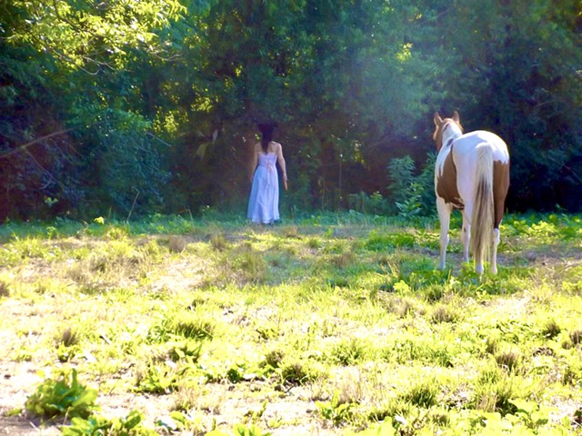 Bunny and horse