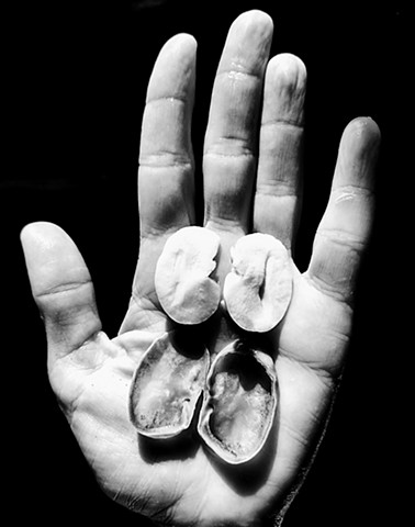 Binary System