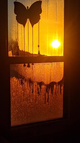 sunrise