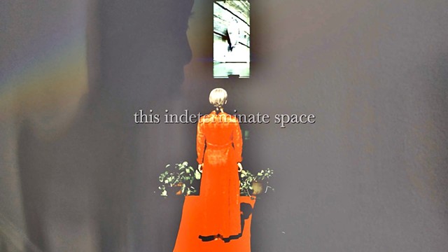 This Indeterminate Space