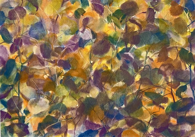 Eucalyptus (Light Notes No. 1)