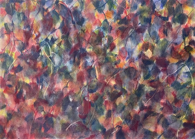 Ivy (Light Notes II)