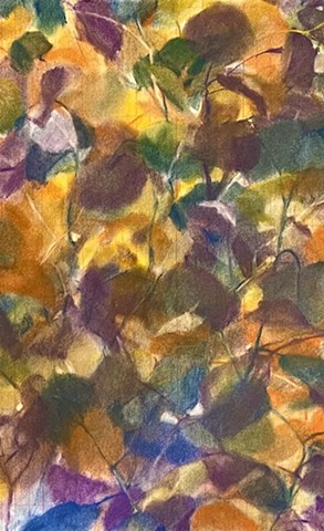 Eucalyptus (Light Notes No. 1) detail