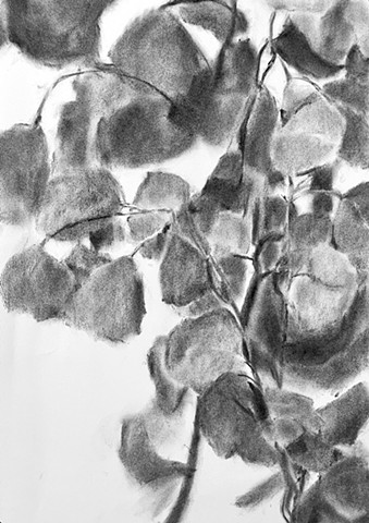 Window I (detail)