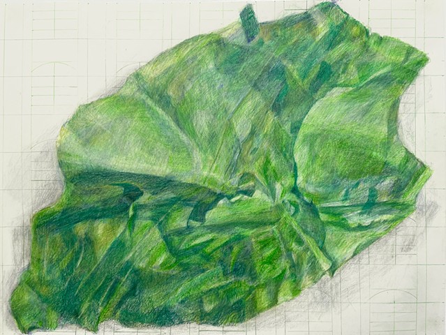 Green Valley Shadows