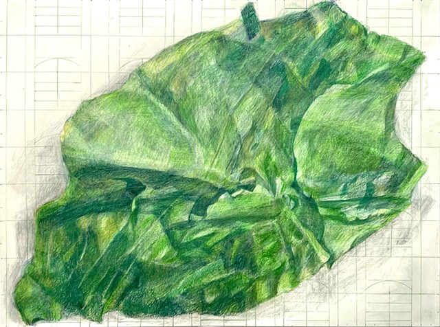 Green Valley Shadows