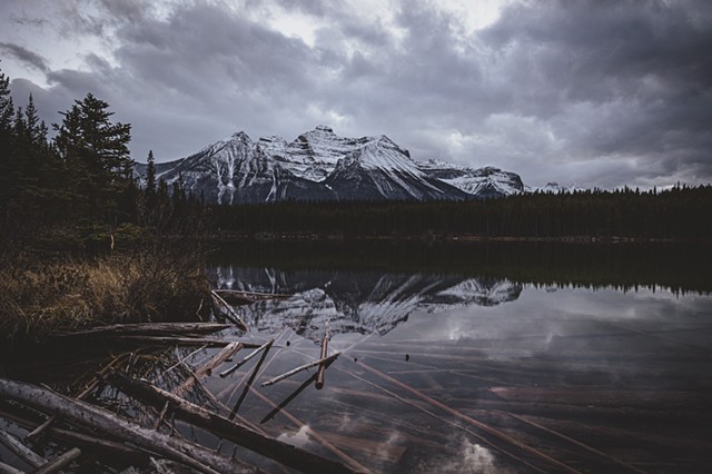 Alberta lake with logs in it, mountains in the background and a moody sky