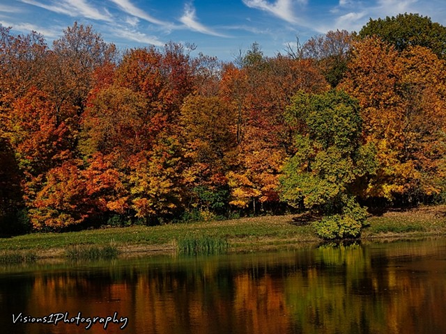 Fall Trees and Pond