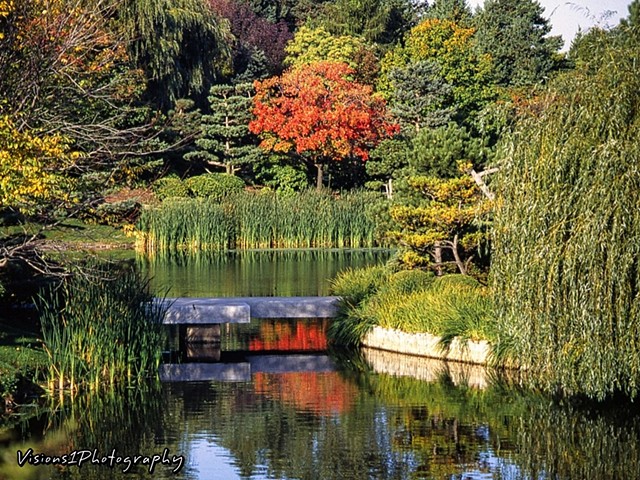 Japanese Garden Zig-Zag Bridge Botanic Garden Glencoe Il. 