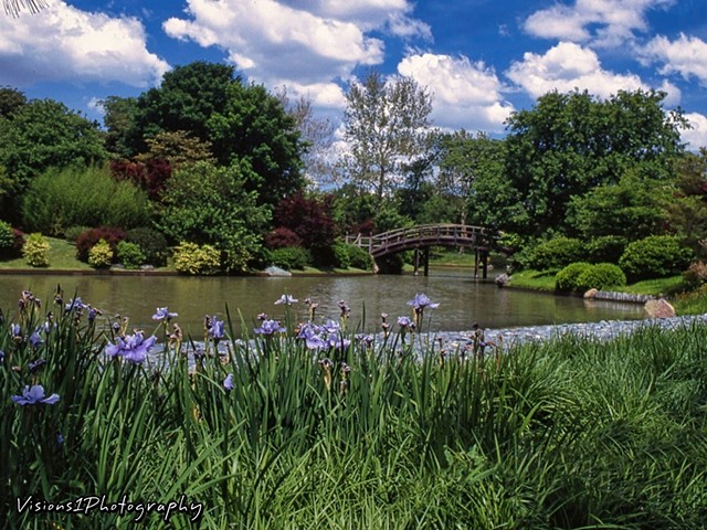 Japanese Garden Missouri Botanical Garden St. Louis Mo.