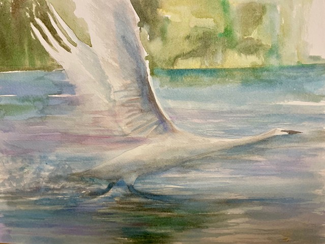 Judy Cline – Watercolor Artist
