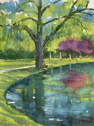 Willow and Blossoms - NFS