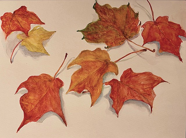 Leaf Collection