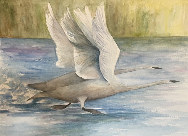 Judy Cline – Watercolor Artist