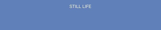 Still Life