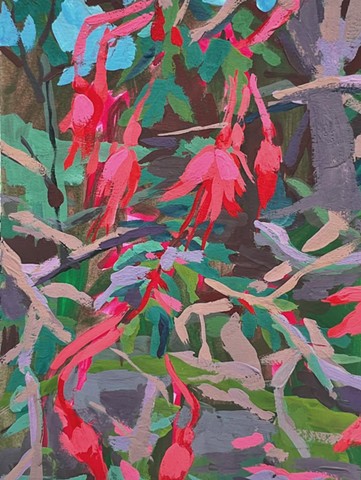 Hummingbird Fuchsia