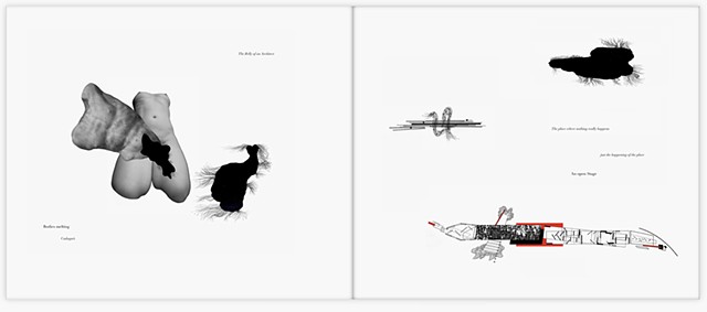 Ataxiapédies (Notations on Chaos and Order)