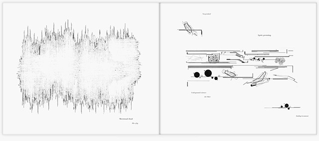 Ataxiapédies (Notations on Chaos and Order)