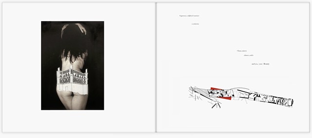 Ataxiapédies (Notations on Chaos and Order)