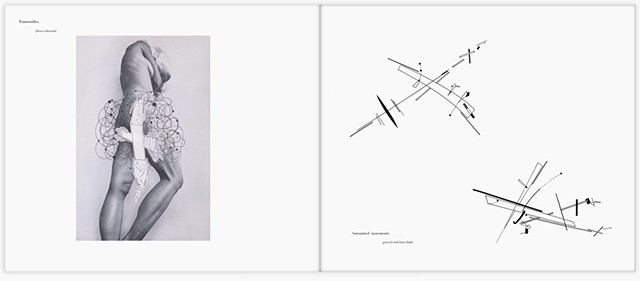 Ataxiapédies (Notations on Chaos and Order)