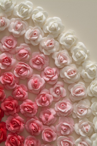 American Beauty Rose (Detail)