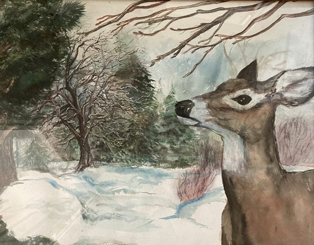  Deer in Winter