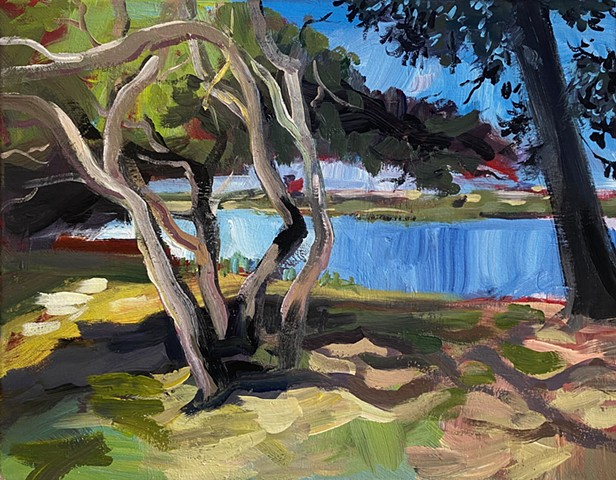 Aquatic Park Trees-small blue