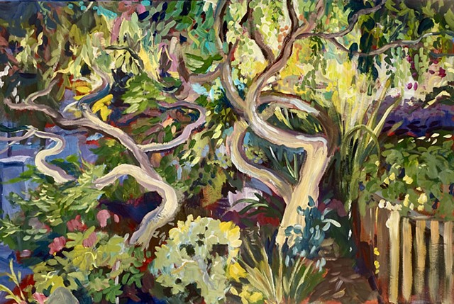 Landscapes