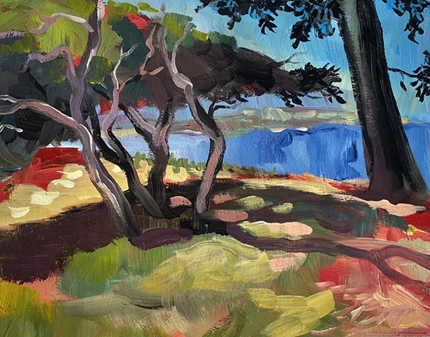 Aquatic Park Trees-small red