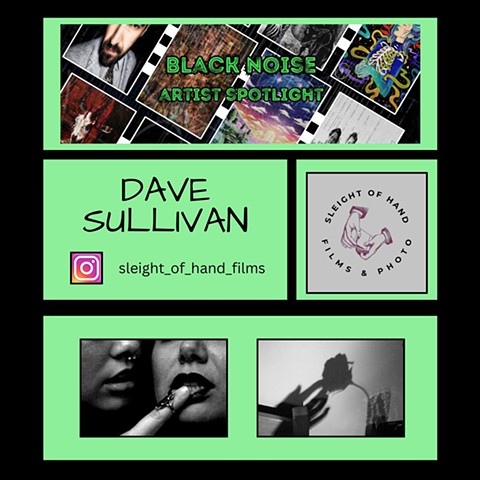 Artist Spotlight