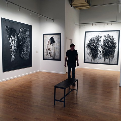 2025 - Strata Gallery