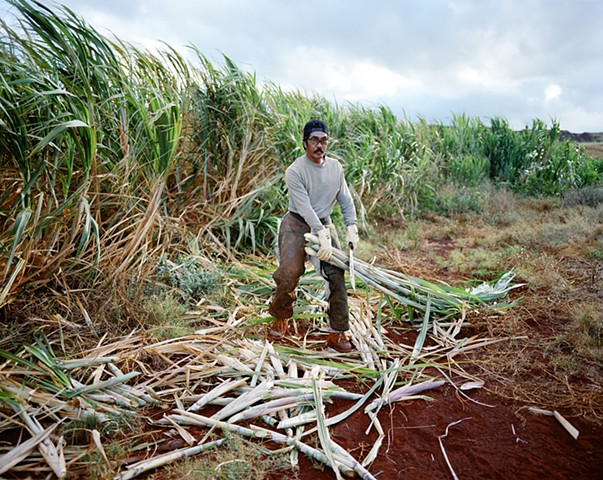 hawaii sugar cane plantation kauai gay robinson kimo proudfoot