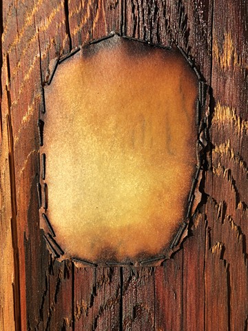 Quarantine Walk Drawing #4, Ink on paper