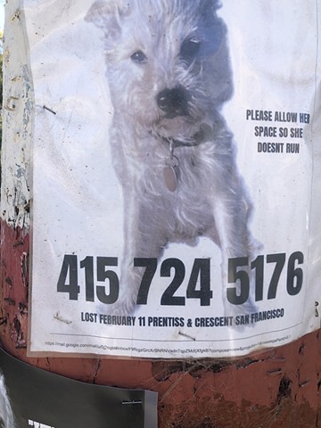 Quarantine Walk Drawing #40, Ink on paper