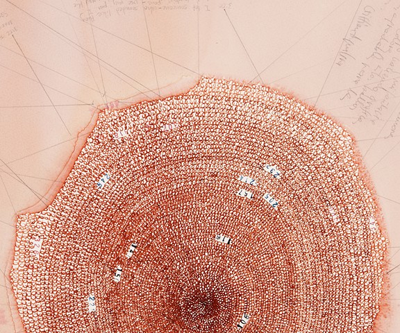 DETAIL OF: Pen-do-Chronology #1, Flax Art store, San Francisco, CA